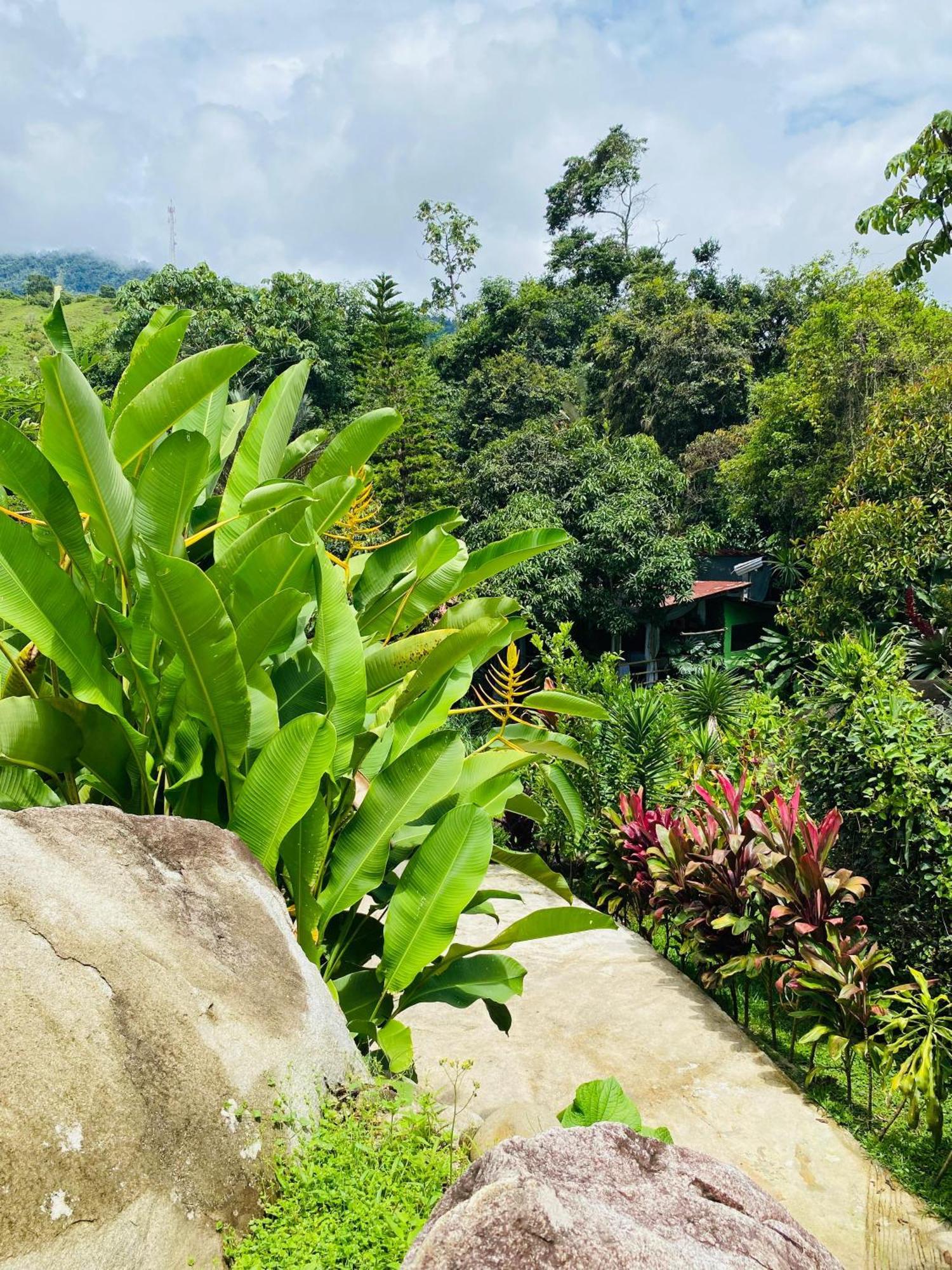 Jardines Secretos Aparthotel Rivas Exterior photo